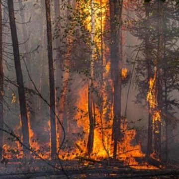 Најмалку 11 лица го загубија животот, а 78 се повредени во пожари во Турција