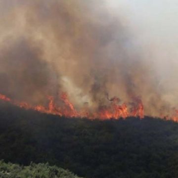 Angelov: 20 wildfires registered Thursday, 10 still active