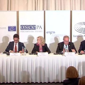 OSCE observers criticize Georgian election